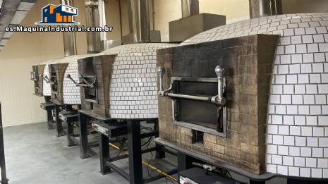 Horno rotatorio para pizza a gas y le�a Fornoflex Rotante Flex