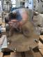 Bomba lobular de acero inoxidable 316 Alfa Laval