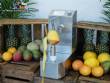 Peladora autom�tica para pi�a, mango y mel�n, 250 unidades por minuto Astra