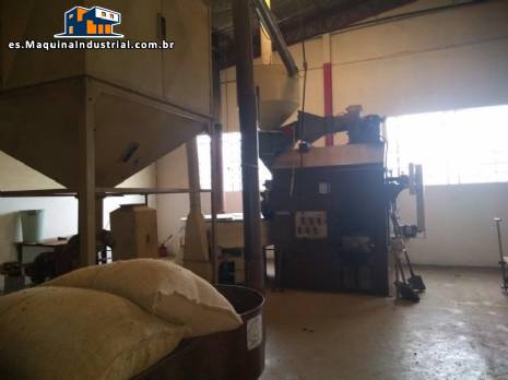 Elevaci�n de caf� crudo