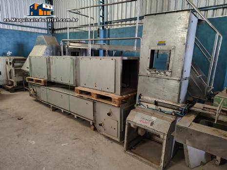 Transportador de cangilones en forma de Z de WIESE