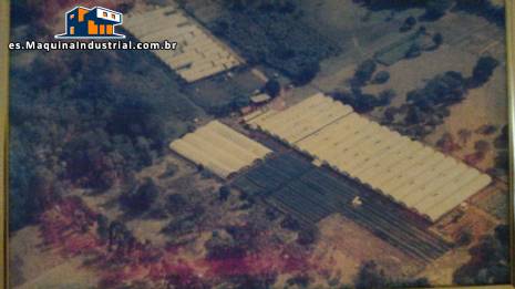 Empresa completa de hidroponía Empresa completa de hidroponía